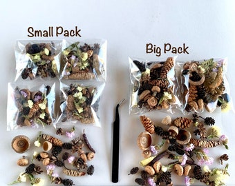 Tiny Dried Acons for resin jewelry Tiny plants for resin Restin Dried flowers Rustic woodland Resin plants Natural crafts supply Limonium