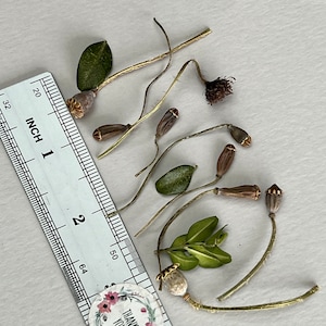 10 dried  poppy Flowers for resin jewelry Florist supply Dried flowers Small dried flowers Cones Colorful flowers resin Mushrooms