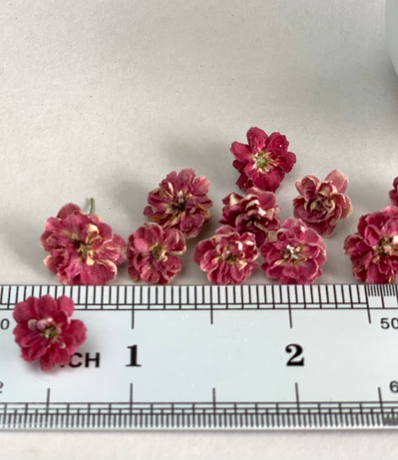 Piccoli fiori rosa secchi per gioielli in resina Piccoli fiori