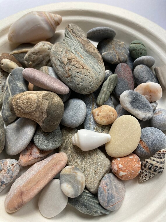 Beach Stones 50 Pcs Baltic Sea Stones Pebble Art Supply Sea Etsy