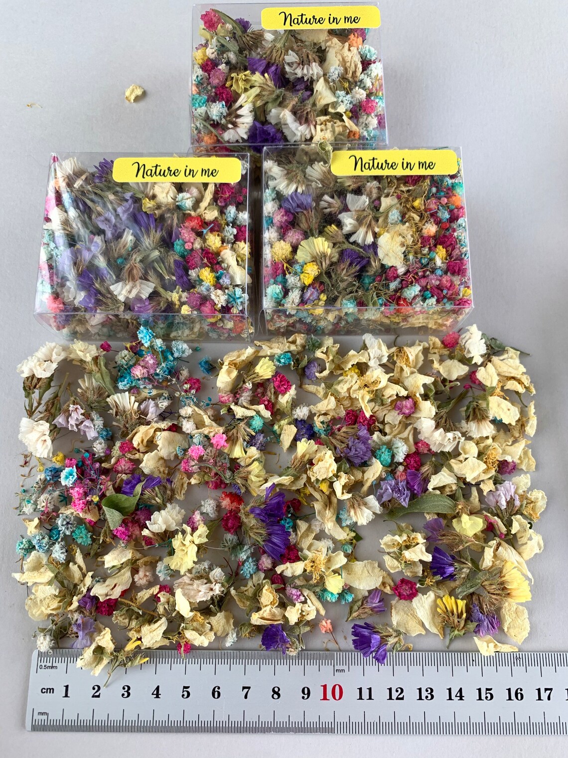 Fiori Secchi Per Resina 66 Pezzi - Decorazioni Pressate Per Candele E Craft - Foto 5