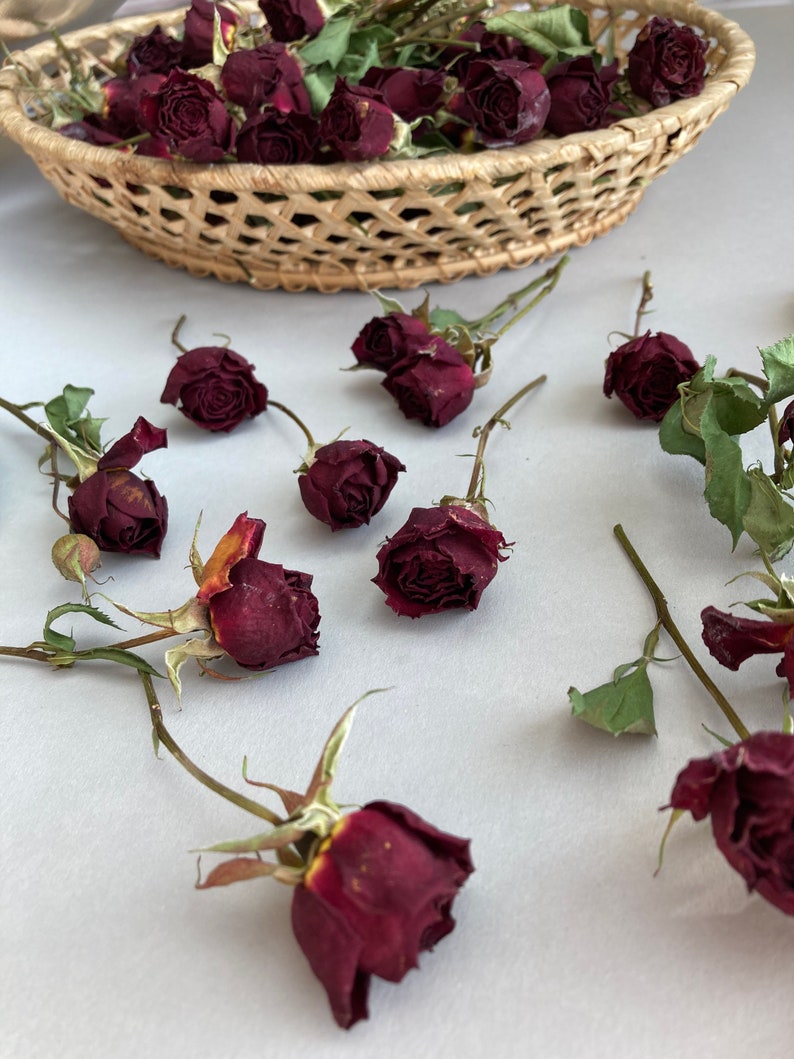 Dried Red Roses Bulk Herbs Dried Flowers Roses For Resin Etsy