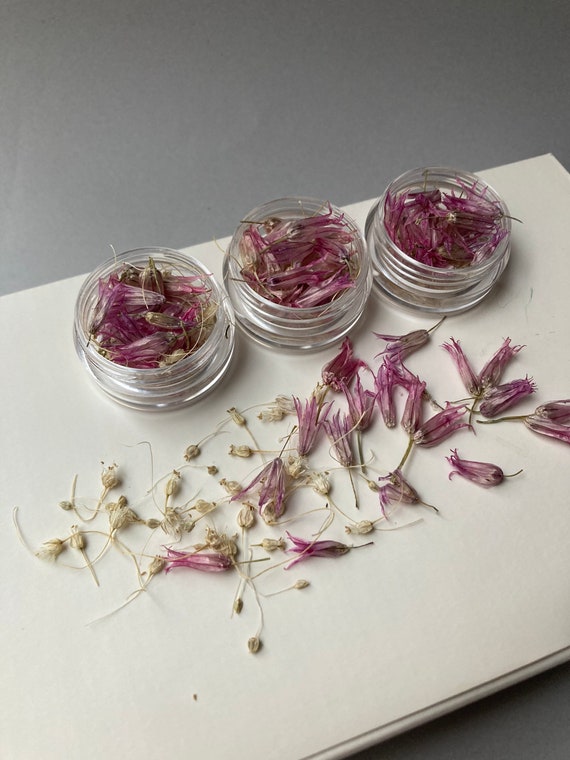 Fiorellini secchi per resina Piccoli fiori bianchi rosa Fornitura resina  Mini giardino Fiori di allium per resina Piccoli fiori secchi Piante  naturali -  Italia