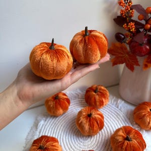 Puede incluir: Calabazas de terciopelo naranja con tallos marrones oscuros. Varias calabazas están dispuestas sobre un salvamanteles de macramé blanco, con algunas sostenidas en una mano. Un jarrón con follaje otoñal está en el fondo. Ideal para decoración otoñal.