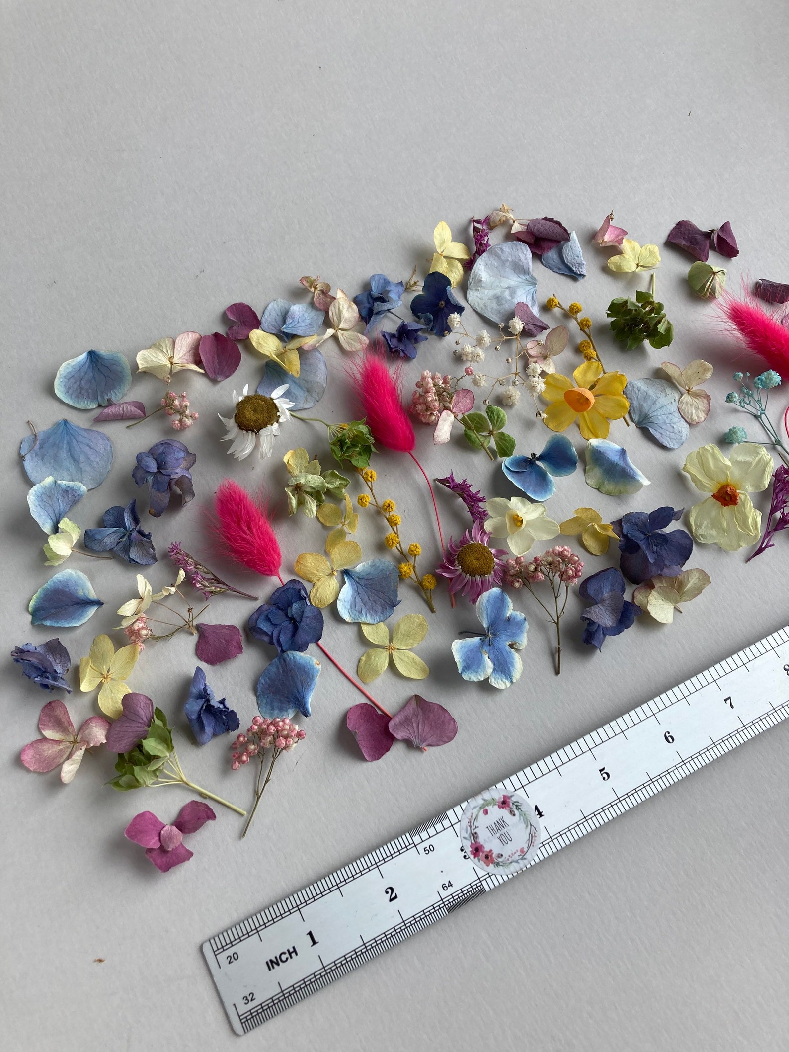 Large Dried Flowers Set for Resin 70 Pcs Thin Dried Flowers Etsy