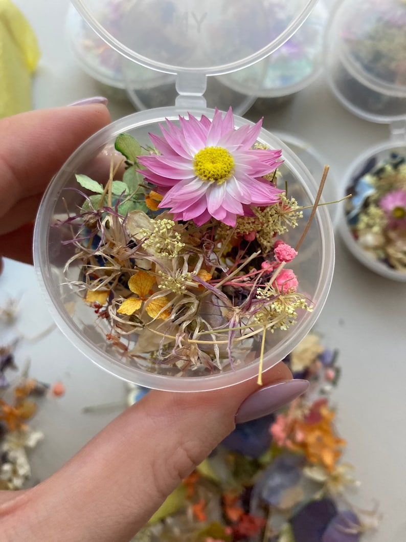 Dried Small Flowers for Resin Tinest Dried Flowers for Resin Etsy