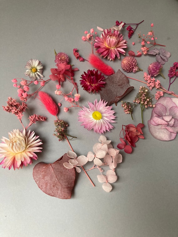 Tiny flowers for resin Dried pink Roses Moss  Dry hydrangea  Resin supply Dried  Ozothamnus Tiny red flowers Smallest flowers Red flowers
