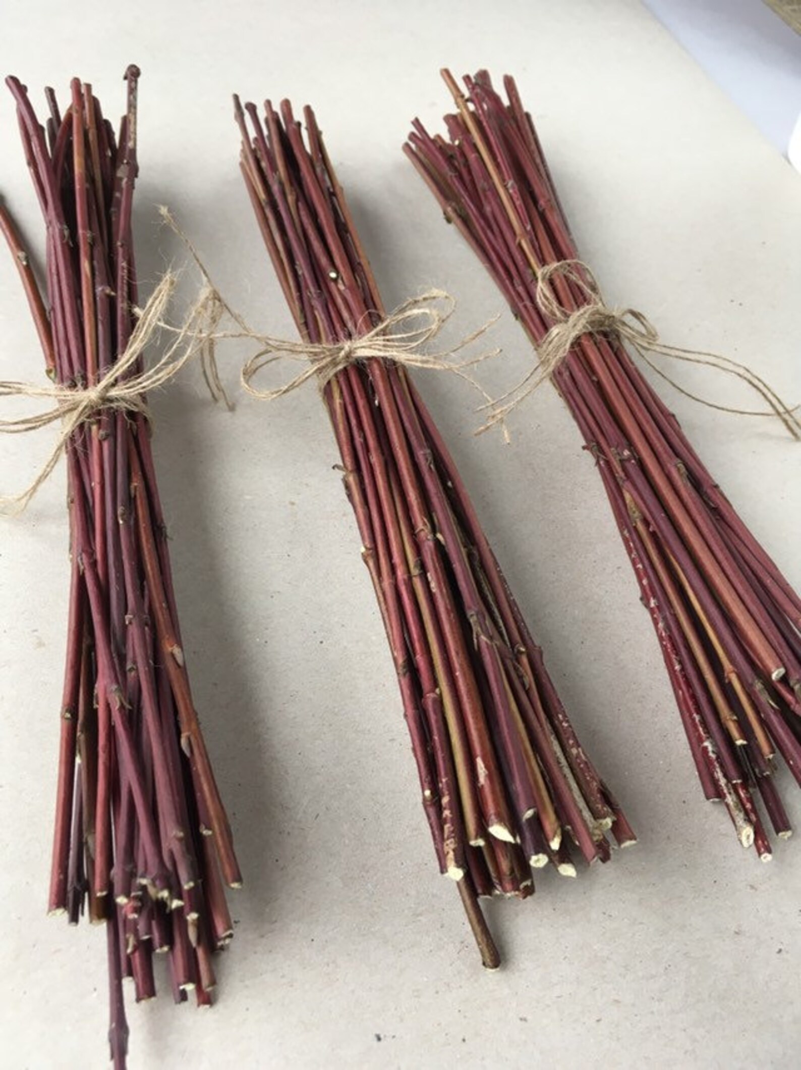 Red willow sticks 30 pcs Real red dogwood branches Red wood Etsy