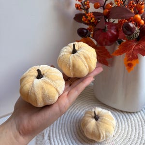 Puede incluir: Se muestran tres pequeñas calabazas de color amarillo claro con tallos marrones. Las calabazas tienen un aspecto texturizado y aterciopelado. Un jarrón blanco con follaje otoñal, que incluye hojas y bayas rojas y naranjas, está en el fondo. Decoración de otoño.