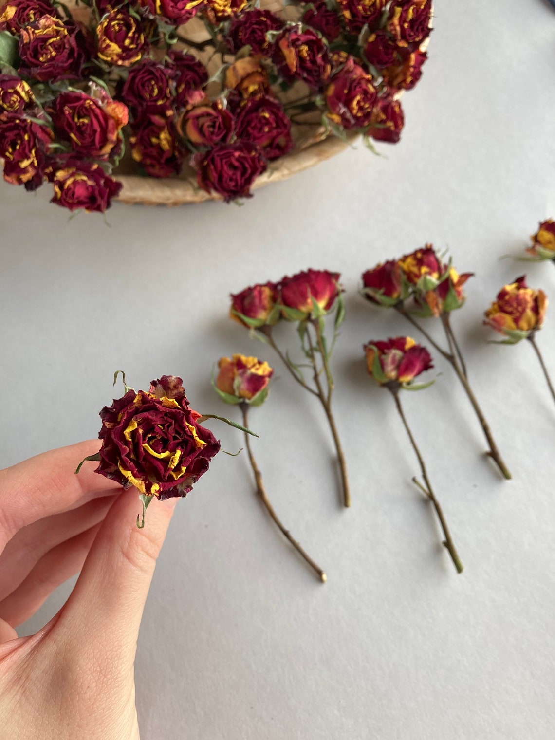 Dried Red Roses Bulk Herbs Dried Flowers Petite Roses Resin Etsy