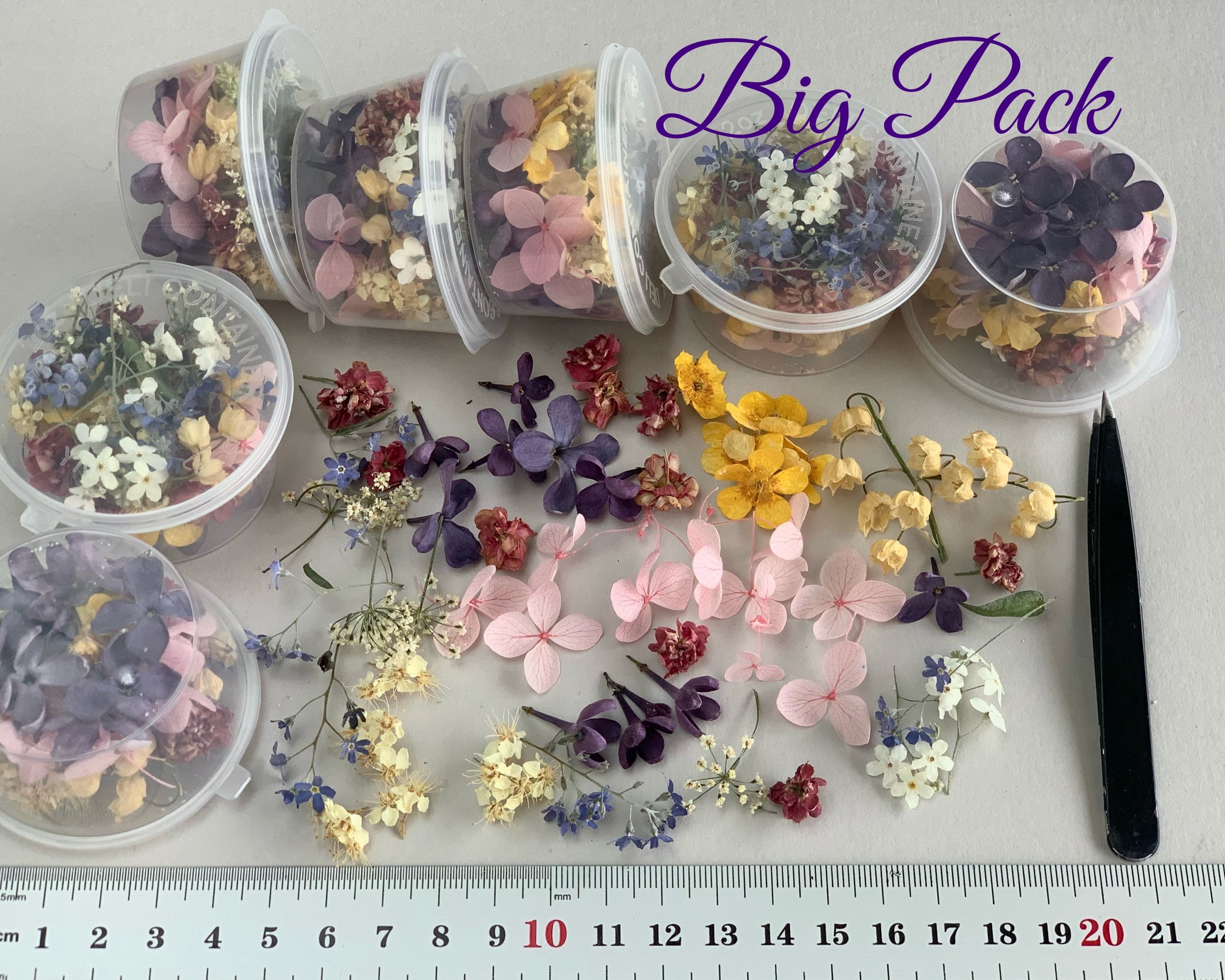 Dried small flowers for resin Tinest dried flowers for resin Etsy