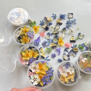 Dried Small Flowers for Resin Tinest Dried Flowers for Resin
