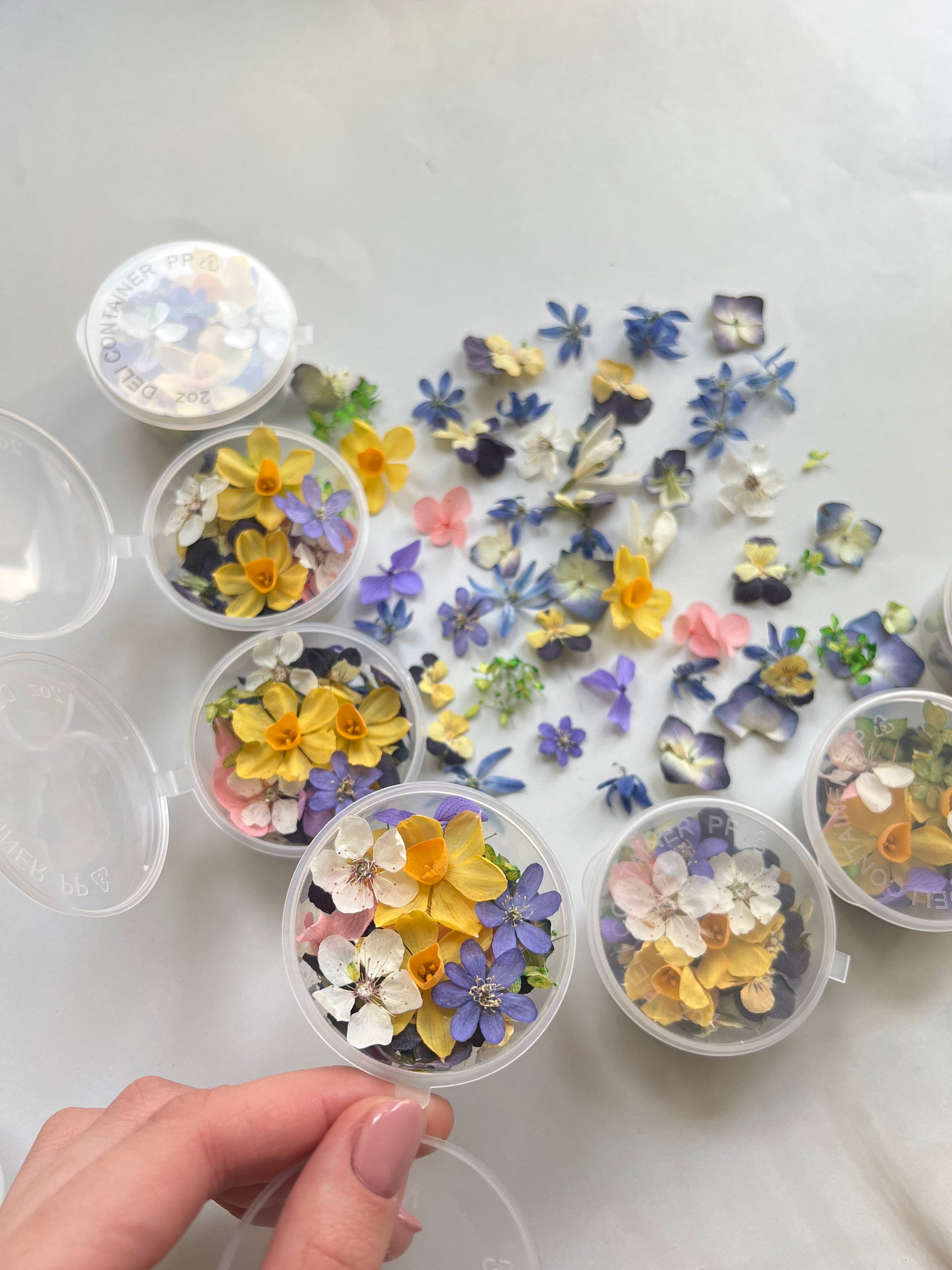 Dried flowers mix box Dried mix flowers Tiny flowers for resin Colorful  Small Flowers for resin jewelry Spring Flowers Narcissus Hydrangea