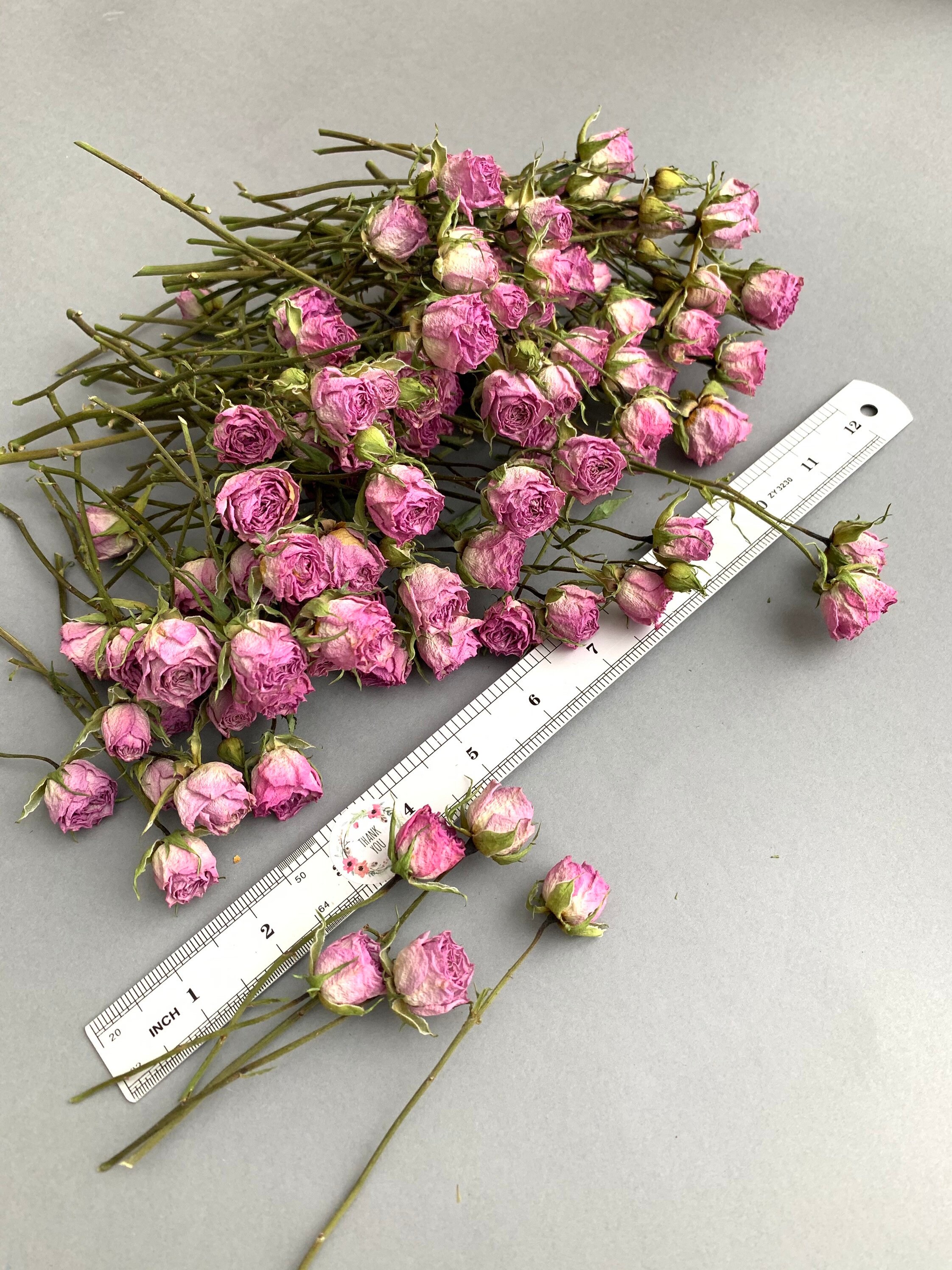 Dried Purple Roses Bulk Herbs Dried Flowers Petite Roses ...