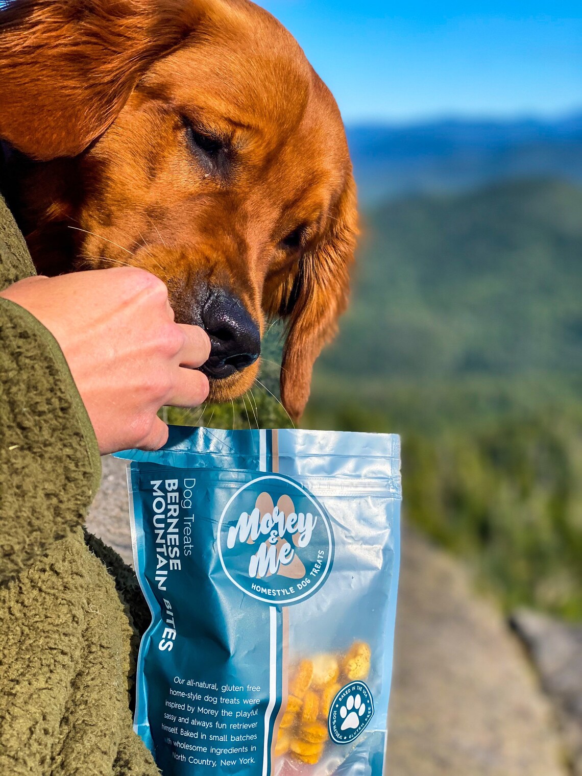Homemade Dog Treats Bernese Mountain Bites Etsy