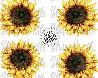 Download Sunflower Waterslide Etsy