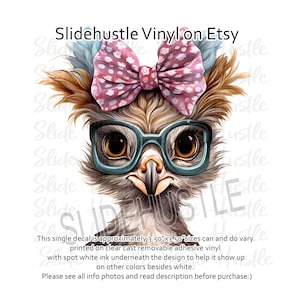 Colorful Funny Chicken with Glasses Vinyl Tumbler Decal, Clear Cast, Spot White, Indoor use. 3.5x3.5 inches VF128A D29