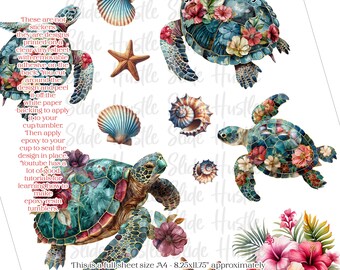 Sea Turtles Element Sheet, Sea Turtle, Sea Life, Clear Spot