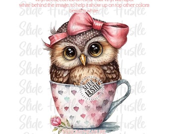 Vinyl Tumbler Decal, Cute Owl Decal, Sweet Owl in Teacup,  Decal Spot White, Ready to use, Indoor use only, VF136D9