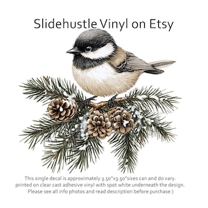 May include: A black-capped chickadee perched on a snow-covered pine branch with pine cones. The bird is facing left and has a white breast and black cap. The decal is approximately 3.50 inches by 3.50 inches.