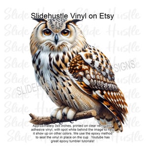 May include: A detailed illustration of an owl with brown, white, and orange feathers perched on a branch. The image is printed on clear removable adhesive vinyl, measuring approximately 3x5 inches.