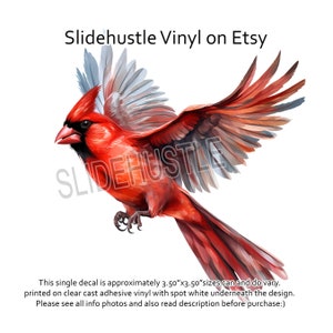 Cardinal, Red Bird, Vinyl Decal, Clear Cast Spot White, CCD, Ready to use, Indoor use only, VF136B D34 3.5x3.5"