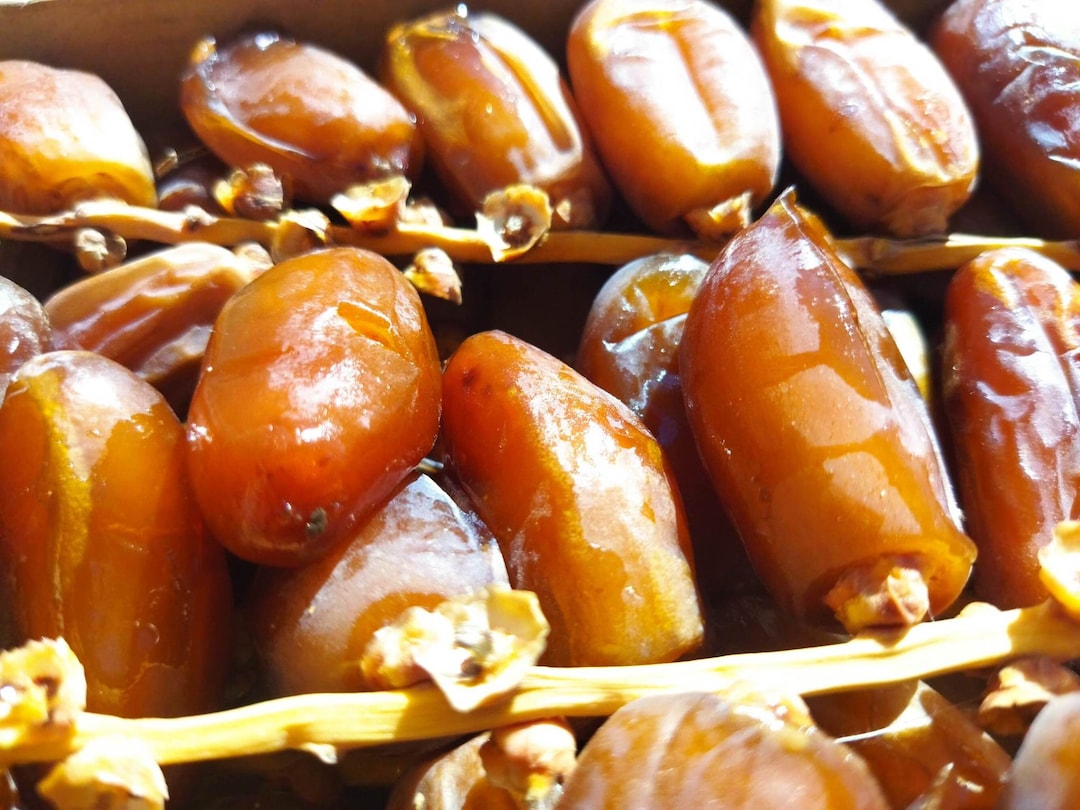 Algerian dattes,Royal dattes,Deglet Nour,Algerian dates,Deglet biskra