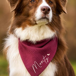 Halstuch für Hunde mit Namen - alle Größen auch für Welpen – Personalisiert / kleine und große Hunde / Hundehalstuch - personalisierbar