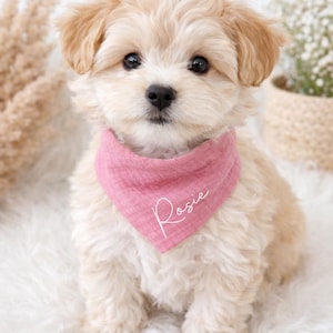 May include: A fluffy, light-colored puppy wearing a pink bandana with the name "Rosie" in script. The puppy is sitting on a white, fluffy surface. The background includes dried plants and a woven basket.