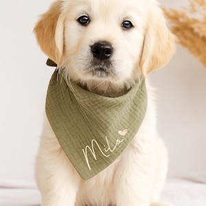 Halstuch für Hunde mit Namen - alle Größen auch für Welpen – Personalisiert / kleine und große Hunde / Hundehalstuch - personalisierbar