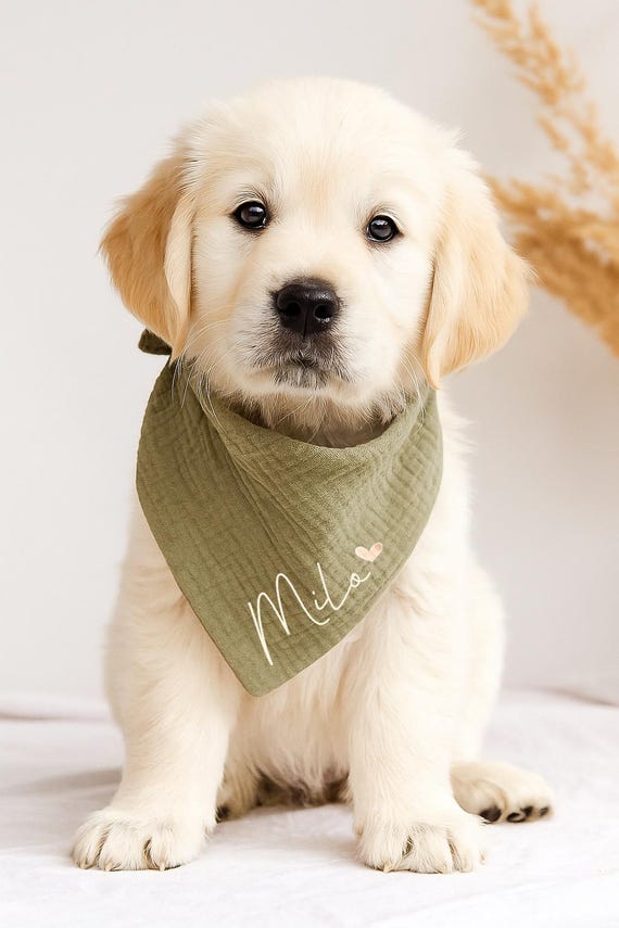 Halstuch für Hunde mit Namen - alle Größen auch für Welpen – Personalisiert / kleine und große Hunde / Hundehalstuch - personalisierbar