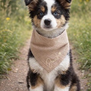 Personalized dog bandana - all sizes including puppies - small and large dogs / customizable dog bandana Camel