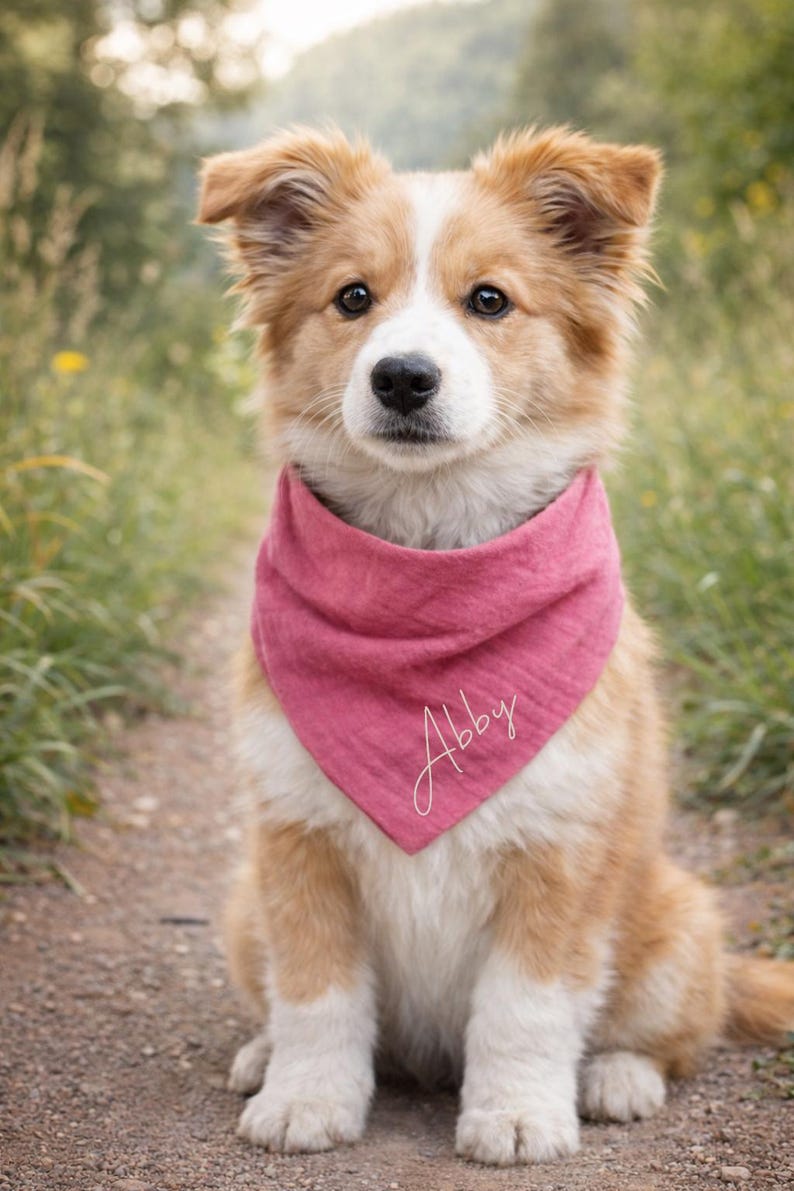 Personalized dog bandana - all sizes including puppies - small and large dogs / customizable dog bandana Himbeere