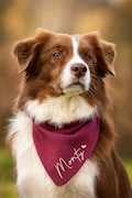 Personalized dog bandana - all sizes including puppies - small and large dogs / customizable dog bandana product logo