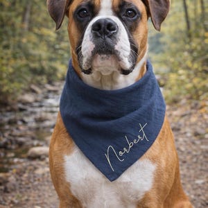May include: A Boxer dog with a brown and white coat wearing a navy blue bandana. The bandana has the name "Norbert" written in cursive script. The dog is outdoors with a blurred background of trees and a stream.