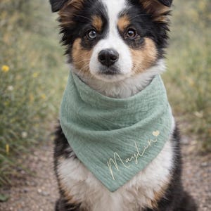 Personalized dog bandana - all sizes including puppies - small and large dogs / customizable dog bandana Mint