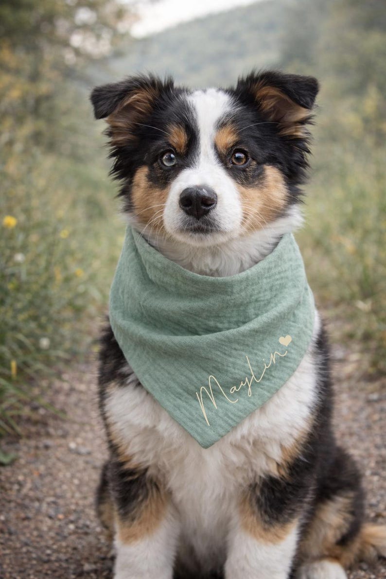 Personalized dog bandana - all sizes including puppies - small and large dogs / customizable dog bandana Mint