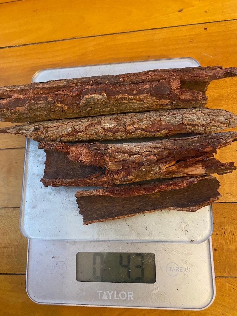 10 Grams Epo Obo Tree Bark ficus platyphylla Anti Witchcraft Bark. image 1