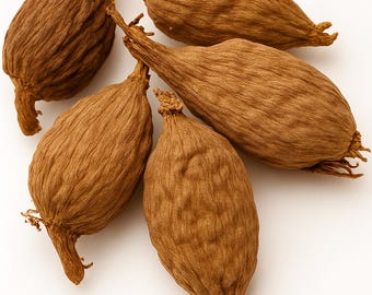 5 pezzi di peperoncino Atare Alligator