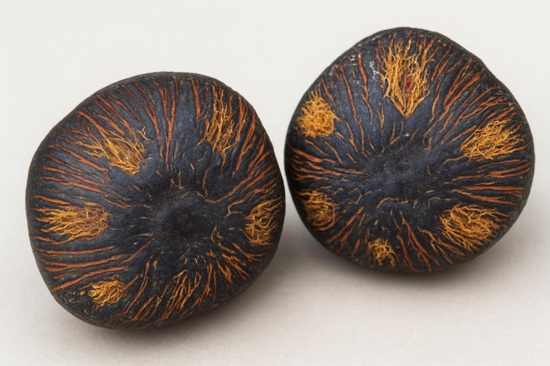 Set of Two Extremely Rare 6 EYE Ikin IFA With 6 IKIN Eyes for ...