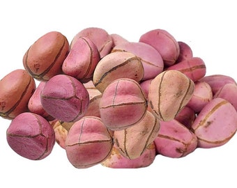 10pcs  SIX  Lobes Kola Nut Obi Abata