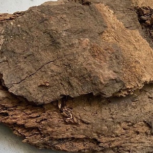 10 Grams Genuine IGI NLA  NNUNU ebe, Asorin Tree Bark (ficus platyphylla) Iginla