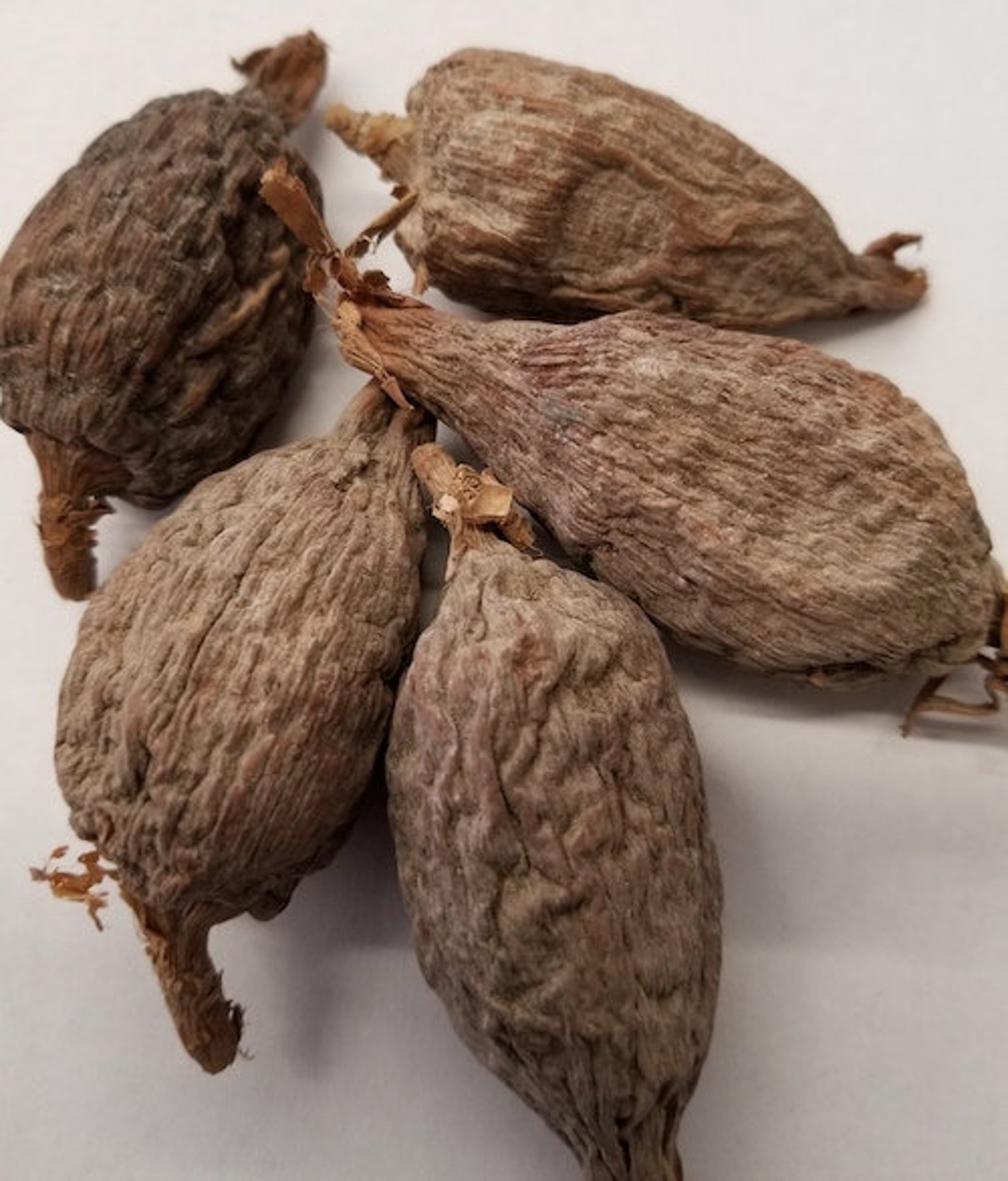 African Organic Alligator Pepper Atare Whole Sale 500pcs FREE Etsy