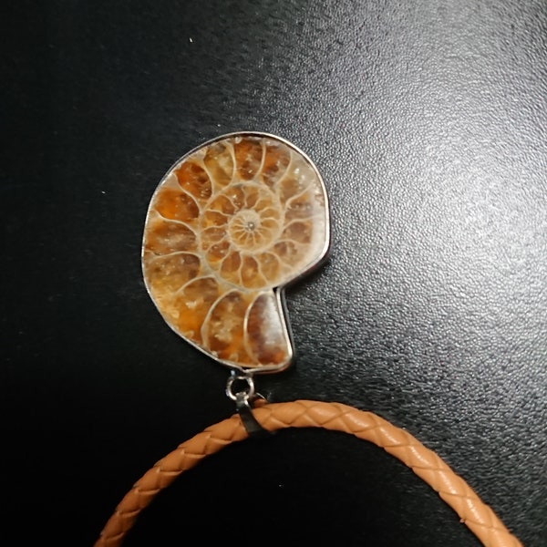 Ammonite fossil necklace, brown genuine leather cord natural, steampunk extinct sea snail shell, stainless steel nautical hippie bohemian