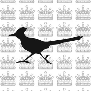 Roadrunner svg/ road runner svg/birds svg,/ southwest svg, /desert vector/roadrunner silhouette/new mexico state bird