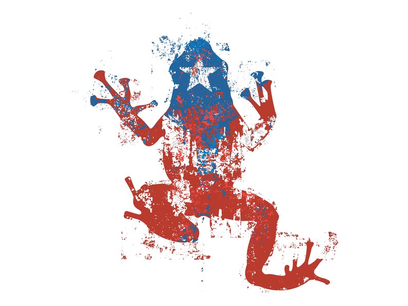 Puerto Rico Frog Flag Grunge Sublimation Shirt Design | Etsy