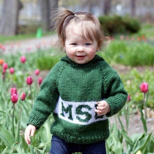 Spartan sweater hot sale