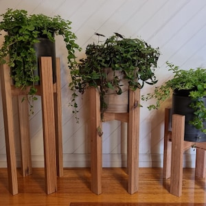 May include: Three wooden plant stands of varying heights, each displaying a potted plant with green foliage. The stands are crafted from natural wood and feature a simple, rustic style.