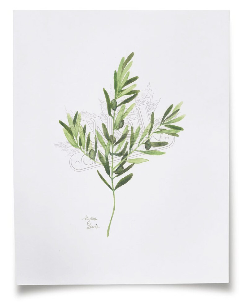 Botanical Wall Art Set of 6 Nature Prints Ready to Frame Etsy