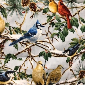 James Hautman - Winter Birds Fabric - Quilting Treasures - 44&quot; X 57&quot;
